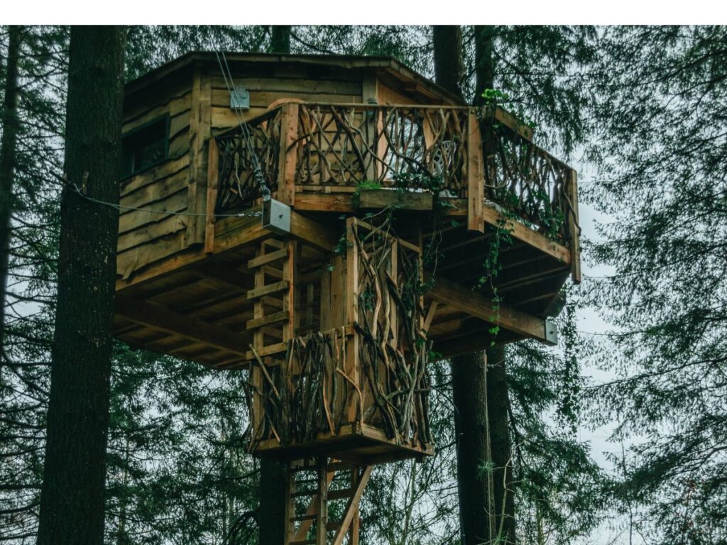 wood treehouse