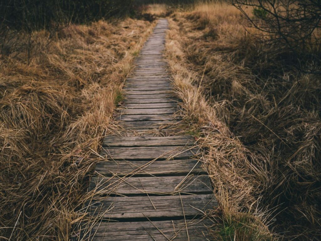 trail path