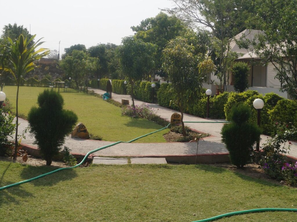 greenery around the resort