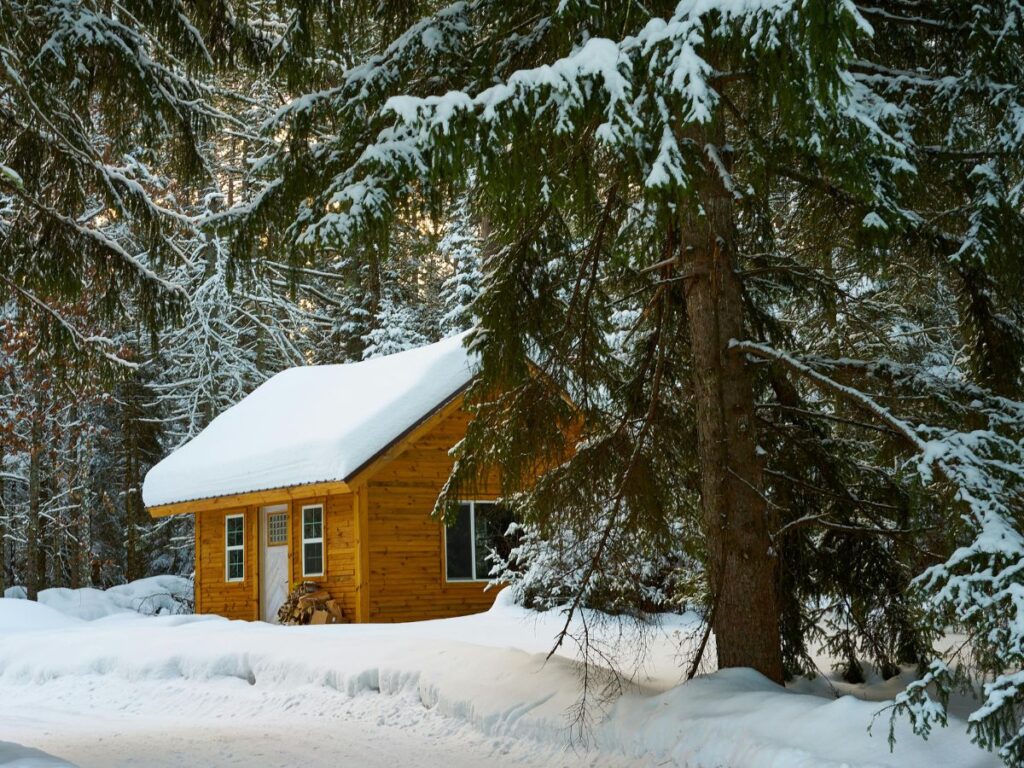 cabin rentals in winter